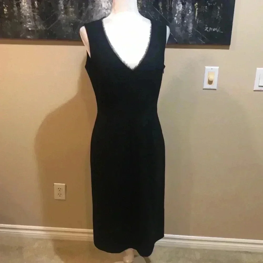 Tahari Sheer Outlined V-Neck Sheath Dress with Side Zipper and Back Slit-Size 6